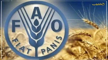 ارتفاع قياسي جديد.. أسعار اللحوم العالمية تخالف التوقعات رغم تراجع السكر والألبان 1